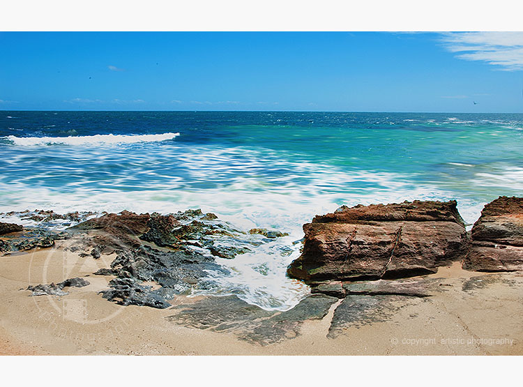 Ocean Wonders - Penguin Island