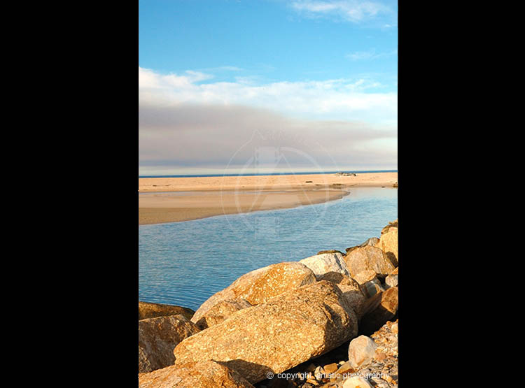 Coastal Golden Shoreline